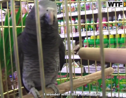 Русский секс на природе с парочкой из Москвы и сладким арбузиком